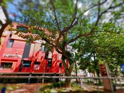 PLQ MALL (D14), Shop House #588864381